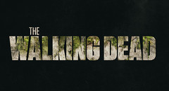 The Walking Dead (Season 9)