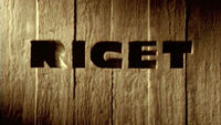 Riget (The Kingdom)