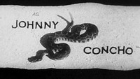 Johnny Concho